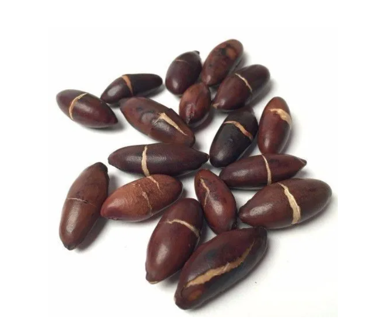 Castanha de Baru