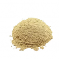 Cebola em pó