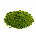 Chlorella em pó
