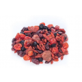 Mix de Frutas Vermelhas 