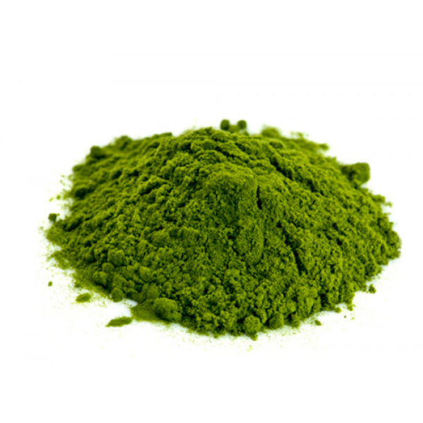 Chlorella em pó