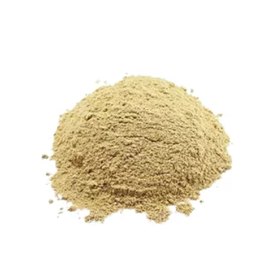 Cebola em pó