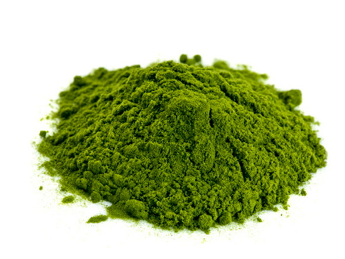 Chlorella em pó